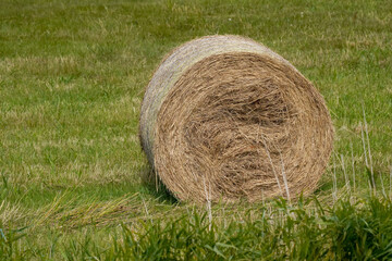 Aufgerollte Heuballe für die Fütterung der Tiere