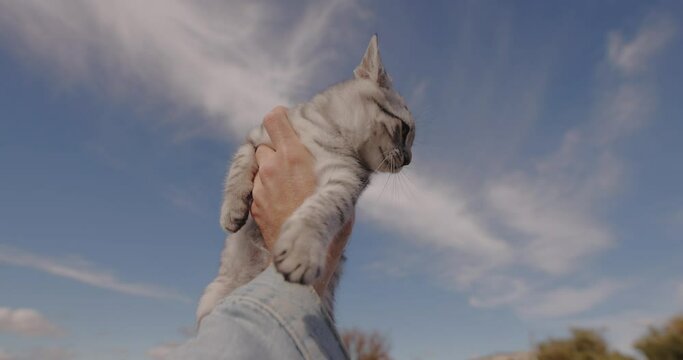 POV male hand holding little cat against sky background