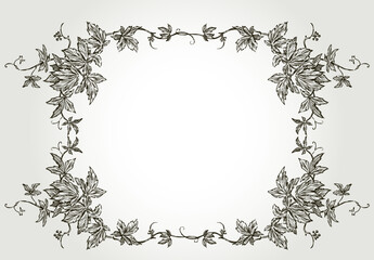 Decorative border from sketches vintage vine brances with leaves and tendrils © Amili