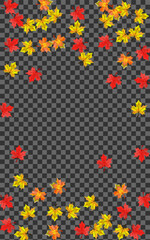 Red Leaves Background Transparent Vector. Foliage Nature Texture. Orange Isolated Floral. Canadian Plant Card.