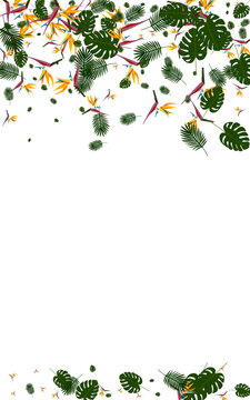 Red Flower Background White Vector. Leaf Surf Design. Light Green Flora. Color Texture. Yellow Beauty Illustration.