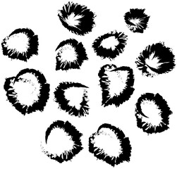 Set of black round ink splashes and drops of different shapes made with brush. Blobs and spatters. Monochrome stain design hand drawn element for magazine, flyers, billboard. Abstract textured effect