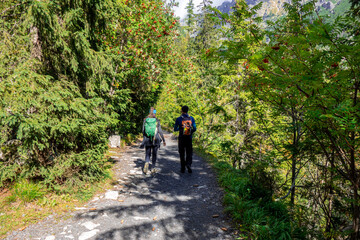 Obraz premium Tourists walk along a mountain trail in the Tatras in Slovakia