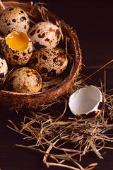 Obraz premium Fresh quail eggs, in a plate of coconut, on a wooden brown table, top view, vertical, no people,