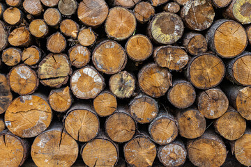 Stack Wooden Logs