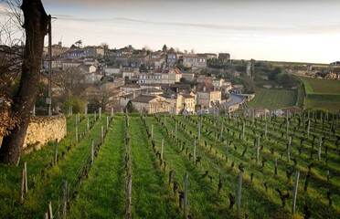 Vineyards and Bordeaux village of Saint Emillion, France in the early morning.