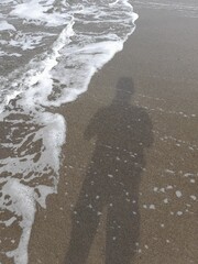 paesaggi montagna natura fiori alberi cielo verde
