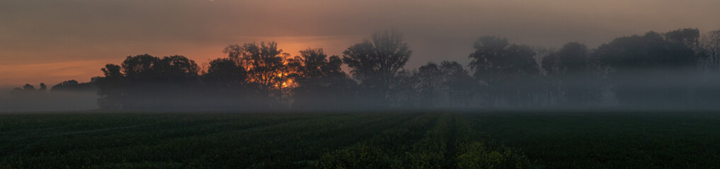 Fototapeta na wymiar Sonnenaufgang im Nebel