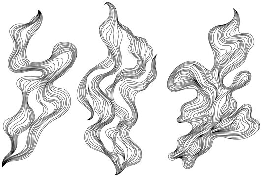 Set of abstract shapes. Hand drawn png illustrations. Ink painting style composition
