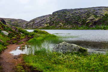 Fototapeta na wymiar Polar landscape with granite stones and plants. North lake in the stone shore