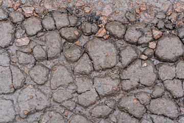 wet ground surface, cracked into many small pieces, after rain, textured surface, embossed.
