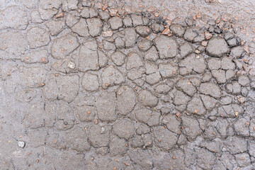wet ground surface, cracked into many small pieces, after rain, textured surface, embossed.
