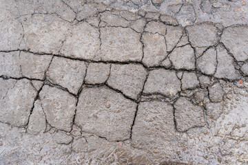 wet ground surface, cracked into many small pieces, after rain, textured surface, embossed.
