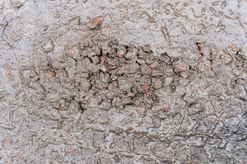 wet ground surface, cracked into many small pieces, after rain, textured surface, embossed.
