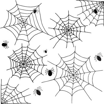 Halloween Spider Web Png