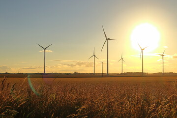 Giant sun at sunset one summer evening. Swedish countryside with wind power turbines. Near Skara,...