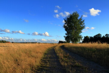 Small countryside road. Next to a field or meadow. One summer day in August. Nobody home. Near Skara, Sweden, Europe.