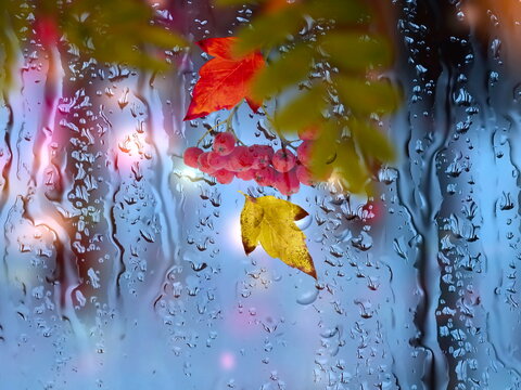 rainy window blurred light with rain drops and Autumn leaves seasonal neture background