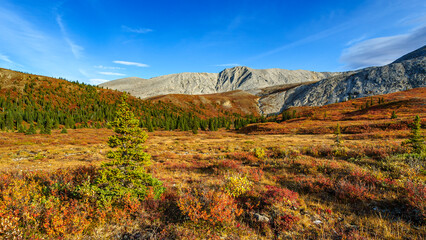 Autumn Colours, Stone Mountain