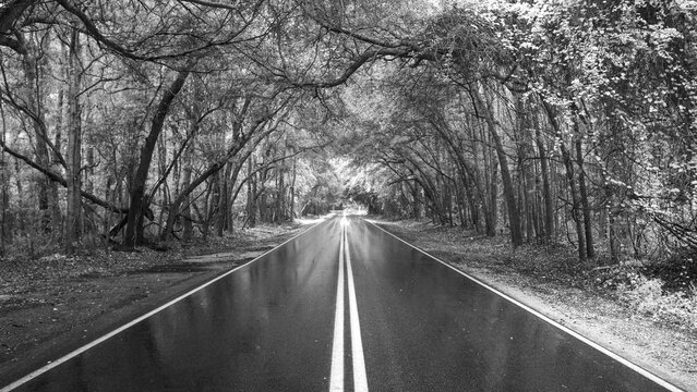 Infrared Road to anywhere