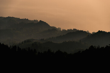 Street life of delhi