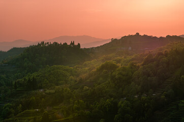Beauty of Darjeeling's landscape