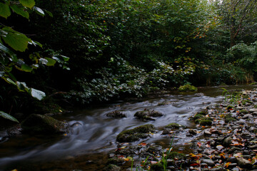 Jonenbach