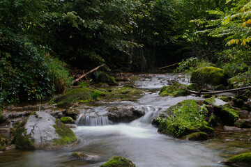 Jonenbach