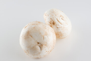 premium champignon mushrooms isolated