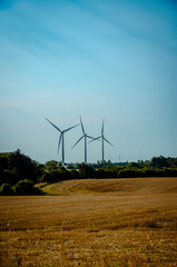 wind turbine in a field of wheat