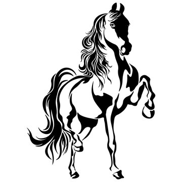 Vector silhouette of a horse, tattoo template, laser cutting.