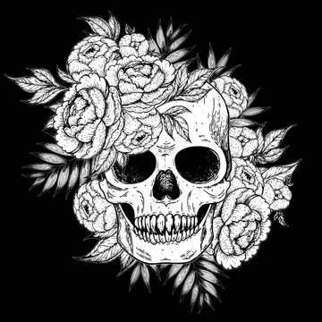 Skull and flowers hand drawn illustration. Tattoo vintage print. Skull sketch.