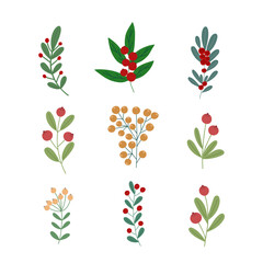 Christmas plants set, decorative branches with leaves, red berries for home decor, festive holiday arrangement, vector illustration for seasonal greeting card, invitation, banner