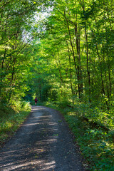Fototapeta premium Beautiful autumn Nature in the sandstone Landscape from the central Bohemia, Dolni Zimor, Czech Republic 
