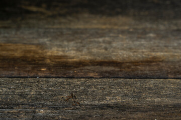 An old wooden table, wall, floor made of crooked worn boards and a wall with embossed plaster. Background from an old wooden board. background is completely blurred. No sharpness. Defocused.