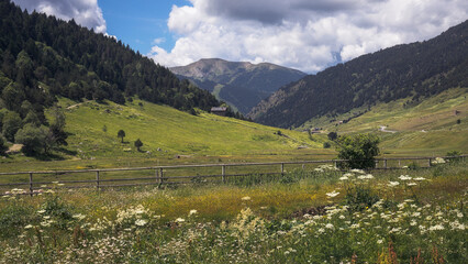 Landscape Panoramic View of Vall d'Incles, Andorra