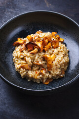 Traditionelles italienisches Risotto con Finferli mit frischen Pilzen und Reis serviert als close-up in einer Nordic Design Schale