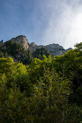 Iseltwald Mountain Peaks