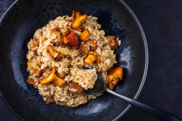 Traditional Italian risotto con finferli with fresh chanterelles and rice served as top view in a...