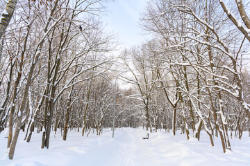 Hiking trail in a snow-covered, beautiful winter landscape.