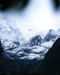 a bird flying into the Rakaposhi Mountain Range, Hunza, Pakistan