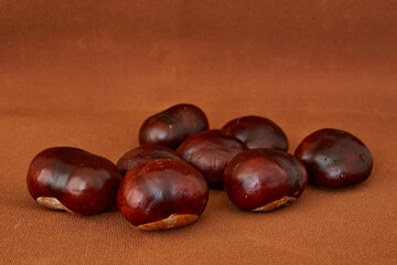 chestnut fruits lie on a black background