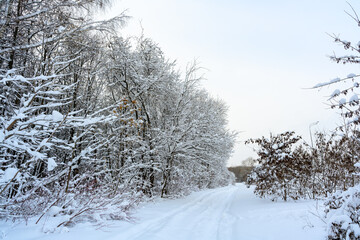 Hiking trail in a snow-covered, beautiful winter landscape.