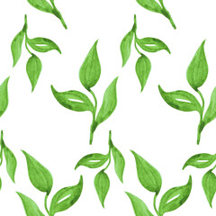 Seamless watercolor pattern, green leaves on a white background, printing for textiles, dishes, packaging paper