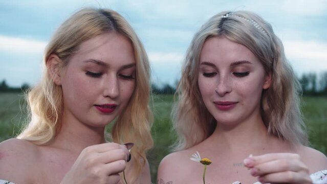 Two cute young blonde women tear off daisy petals standing in a green field