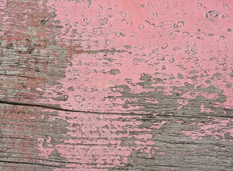 Obraz premium High quality pink painted wood background. Front view with copy space.