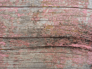 High quality pink painted wood background. Front view with copy space.