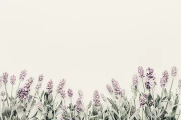 Fotobehang Flowers composition, frame made of lavender flowers on pastel background. © gitusik