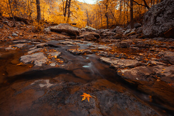 Ozark Mountain creek stream flows over the rocky forest bed in a yellow colored fall forest with...
