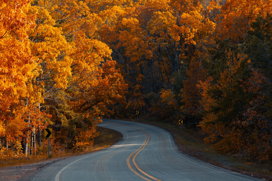 A winding mountain road curves through the Ozark Mountain forest during autumn with yellow and orange red fell leaves on the trees. 
